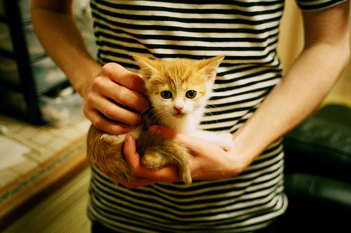 特奥末节接管比赛，那不勒斯争冠战险胜尼斯，意甲悬念再起