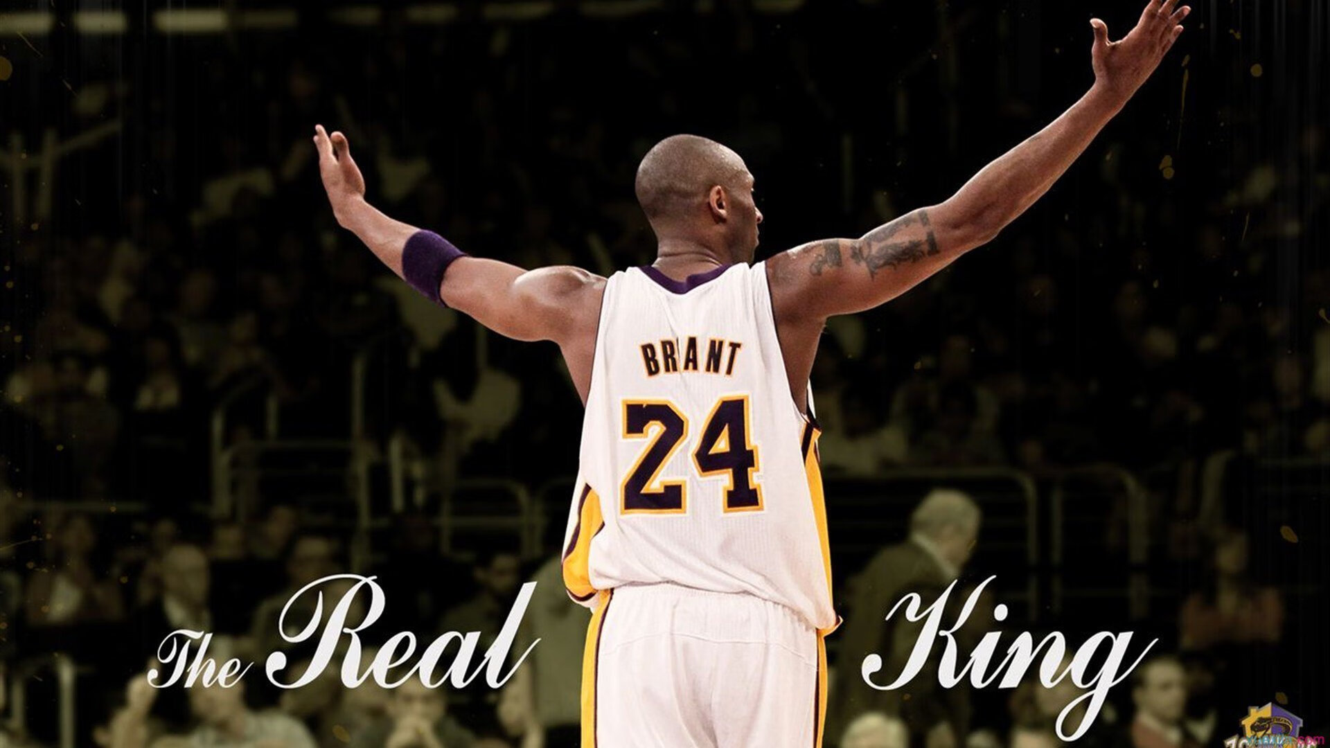 世界排名争夺战焦点战，拜仁战术如何彻底压制瑞典风暴？