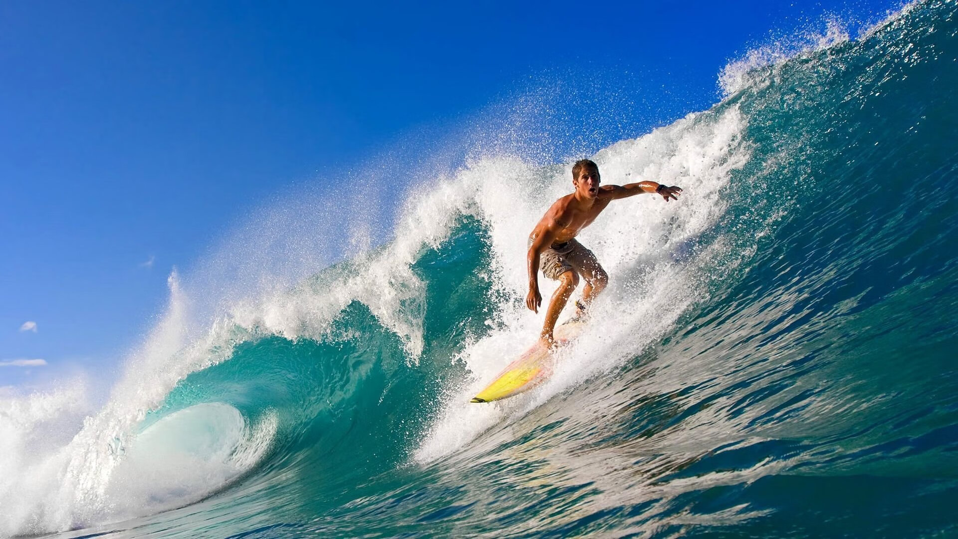 联合杯鏖战点燃新季，纳达尔ATP总决赛刷新不朽纪录